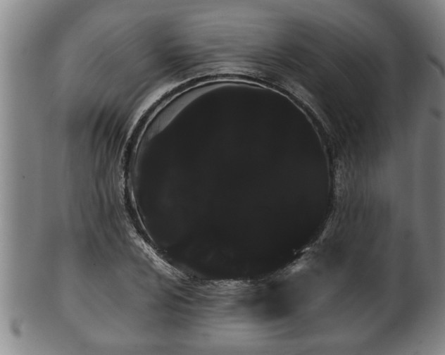 X0000100221024200806061339