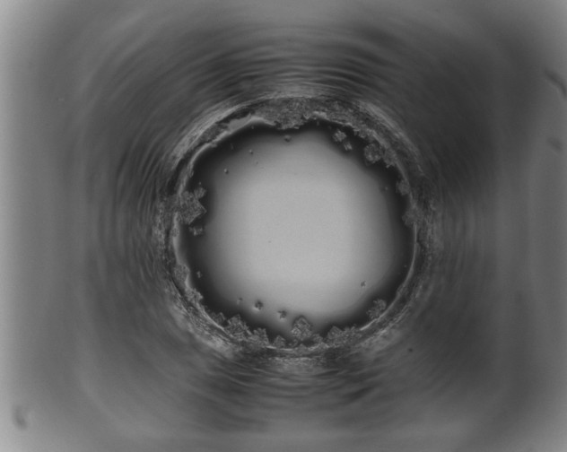 X0000100221025200806061339