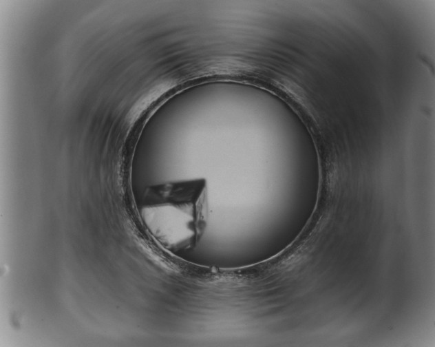 X0000100221026200806061339