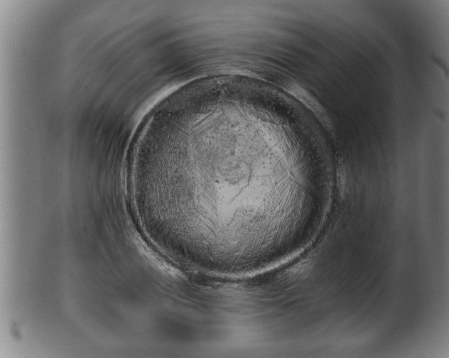 X0000100221028200806061339