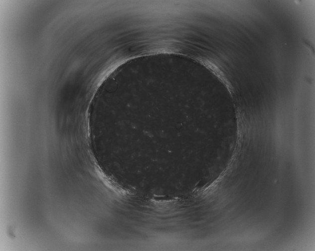 X0000100221031200806061340