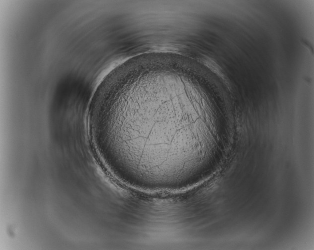 X0000100221032200806061340