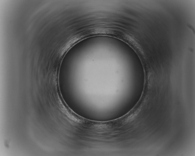 X0000100221033200806061340