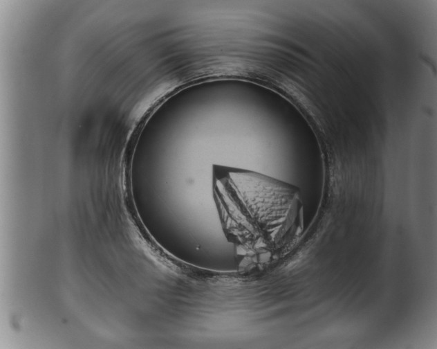 X0000100221034200806061340