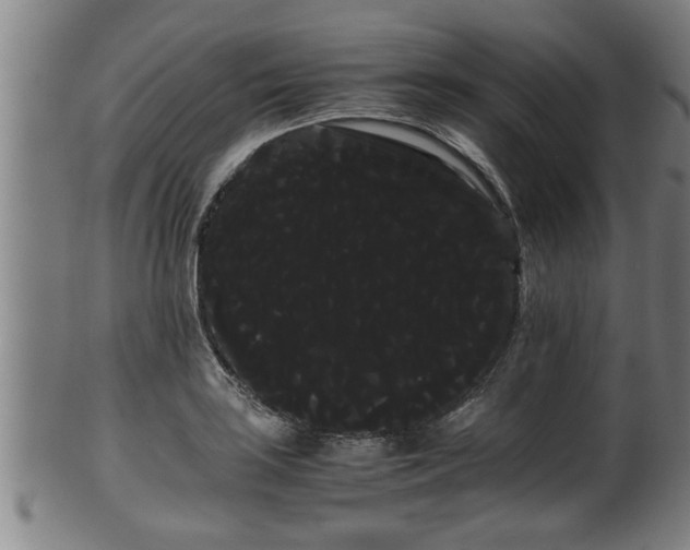 X0000100221035200806061340