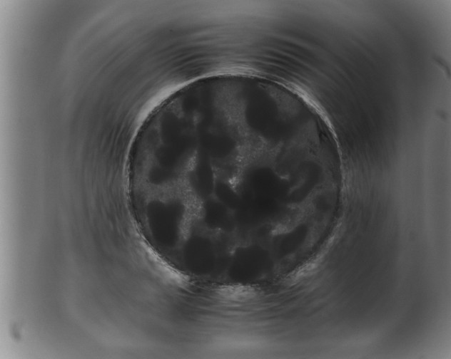 X0000100221037200806061340