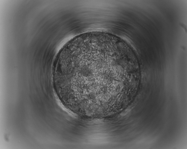 X0000100221038200806061340
