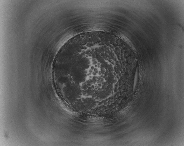 X0000100221039200806061340