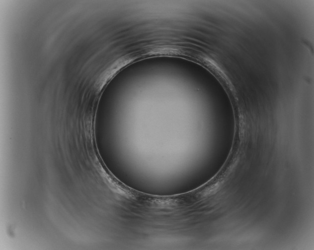 X0000100221041200806061340