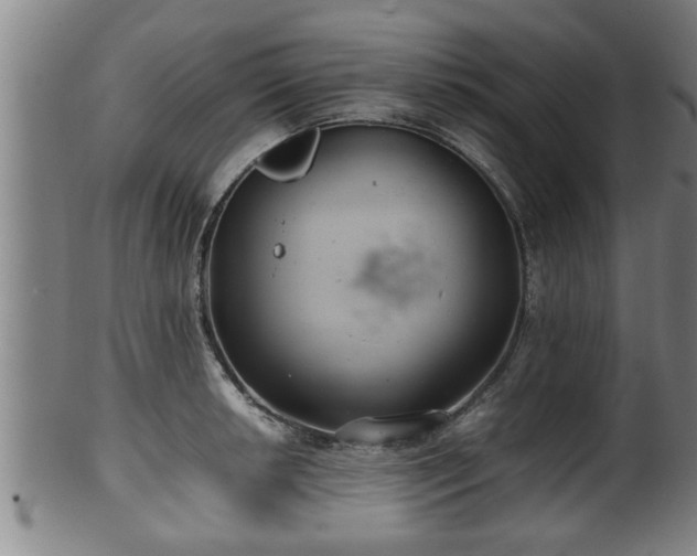 X0000100221042200806061340