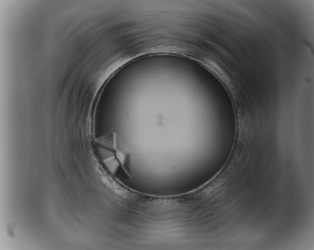 X0000100221044200806061340