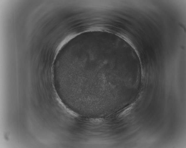 X0000100221045200806061340