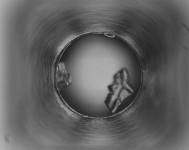 X0000100221046200806061340