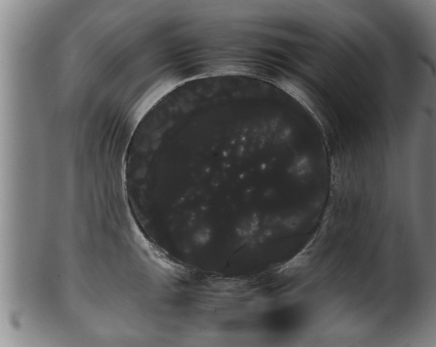 X0000100221047200806061340