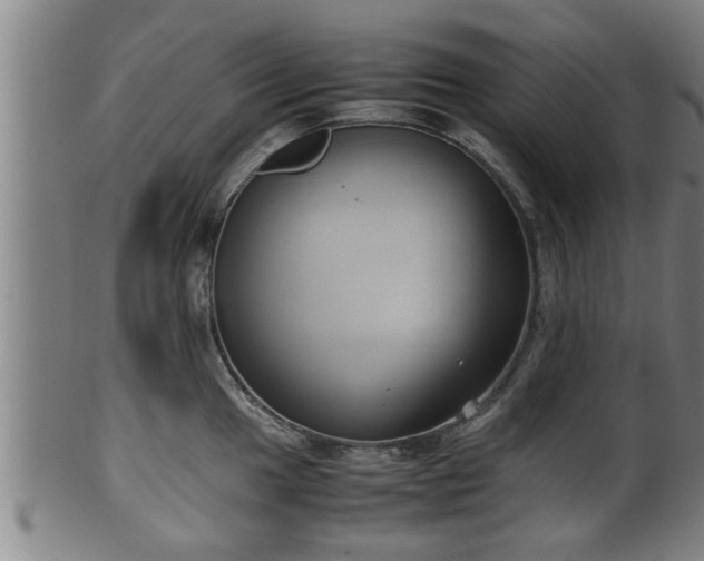 X0000100221049200806061340