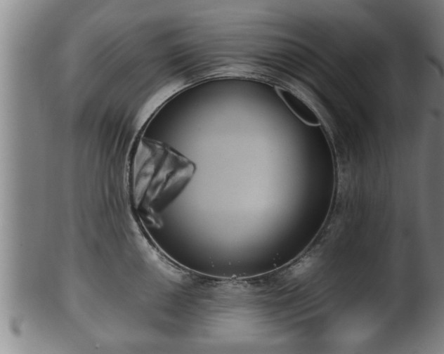 X0000100221050200806061340
