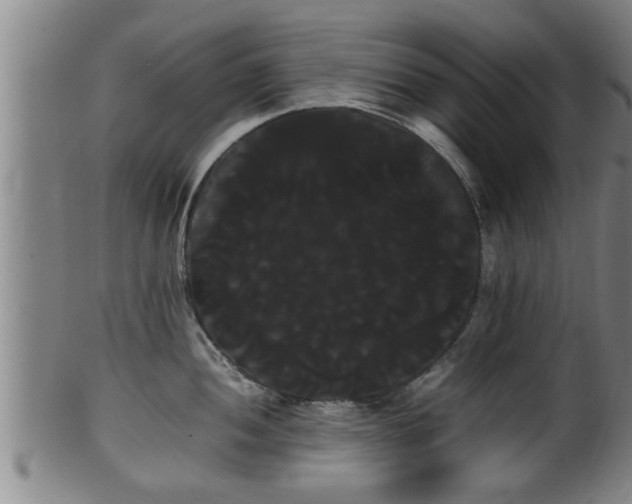 X0000100221052200806061340