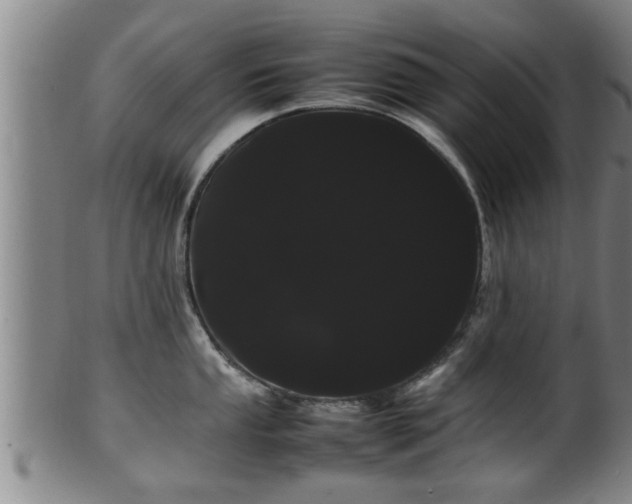 X0000100221053200806061340