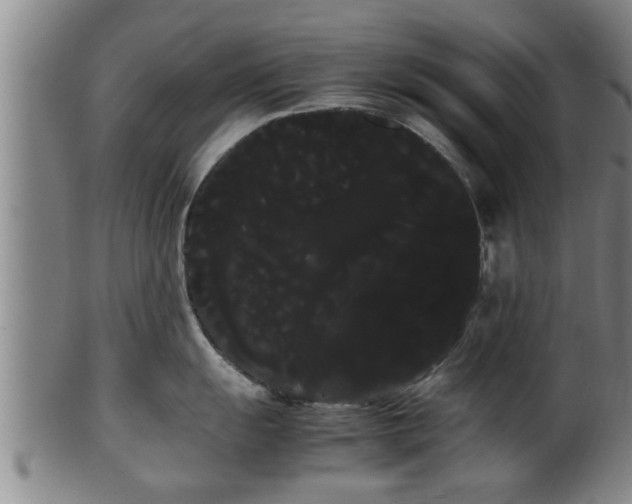 X0000100221055200806061340