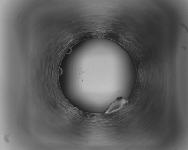 X0000100221057200806061339