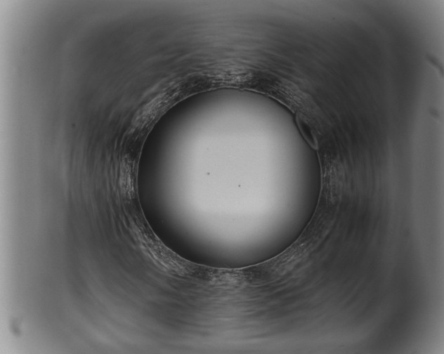 X0000100221058200806061339