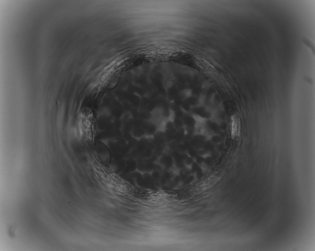 X0000100221059200806061339