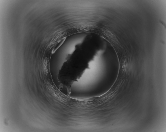 X0000100221060200806061339