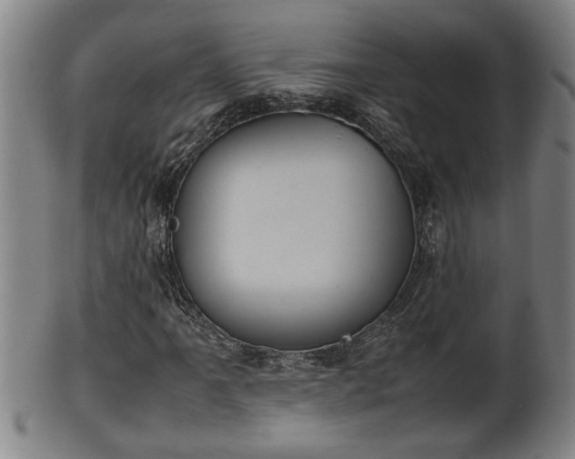 X0000100221061200806061339