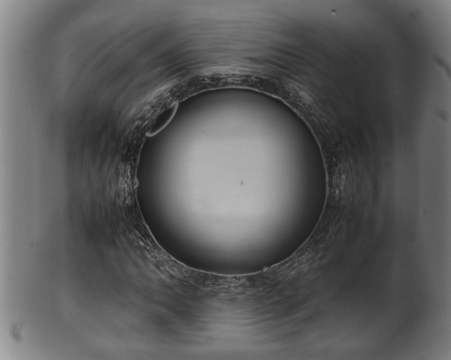 X0000100221062200806061339