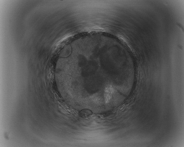 X0000100221063200806061339