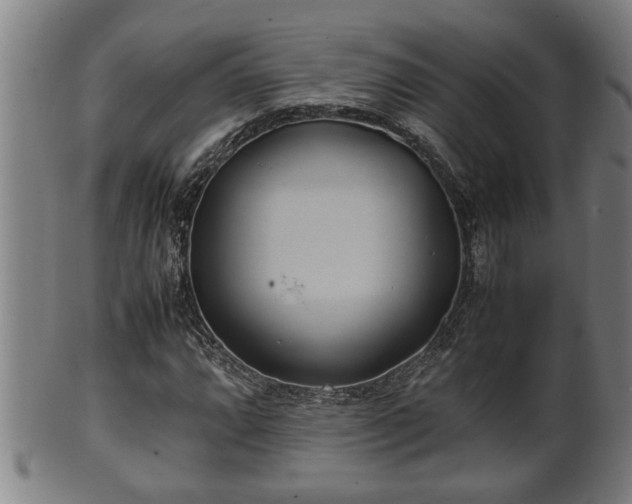 X0000100221064200806061339