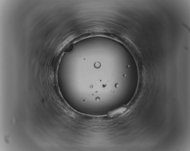 X0000100221065200806061339