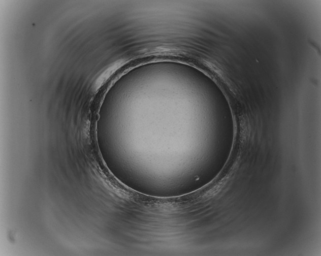 X0000100221066200806061339