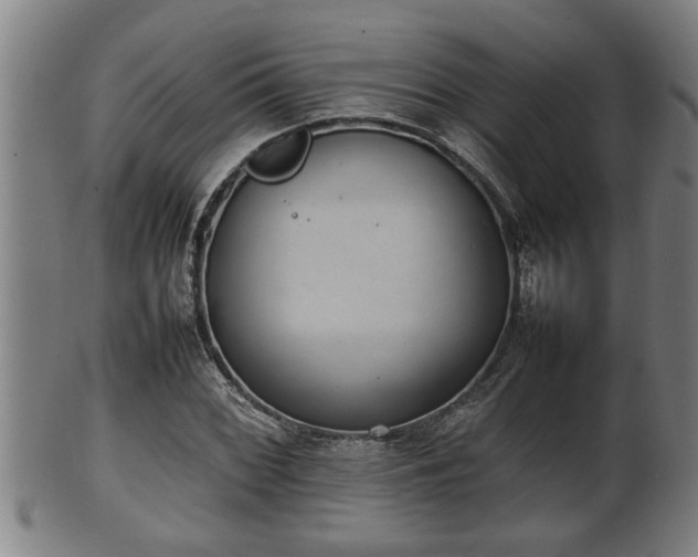 X0000100221068200806061339