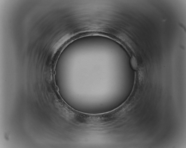 X0000100221069200806061339