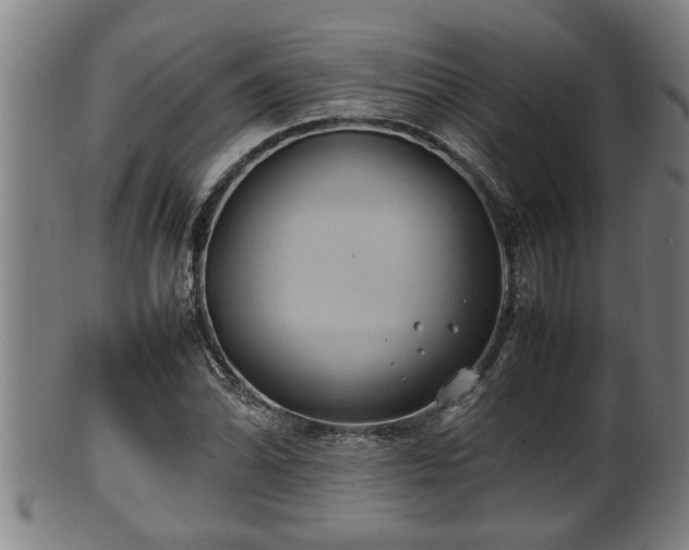 X0000100221070200806061339