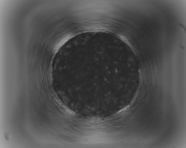 X0000100221071200806061339