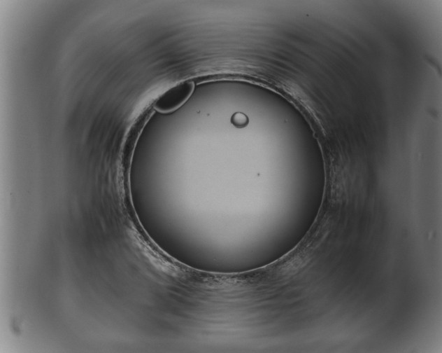 X0000100221072200806061339