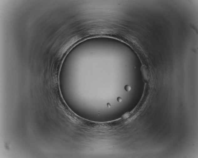 X0000100221073200806061339