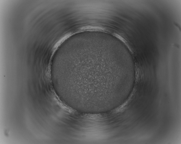 X0000100221074200806061339