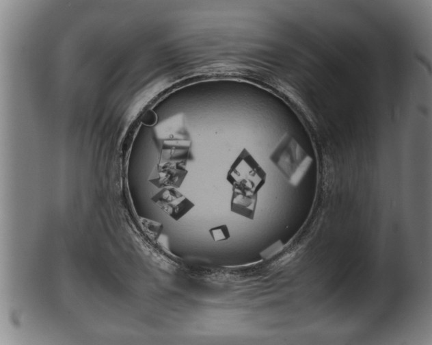 X0000100221075200806061339