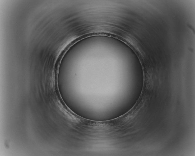 X0000100221076200806061339