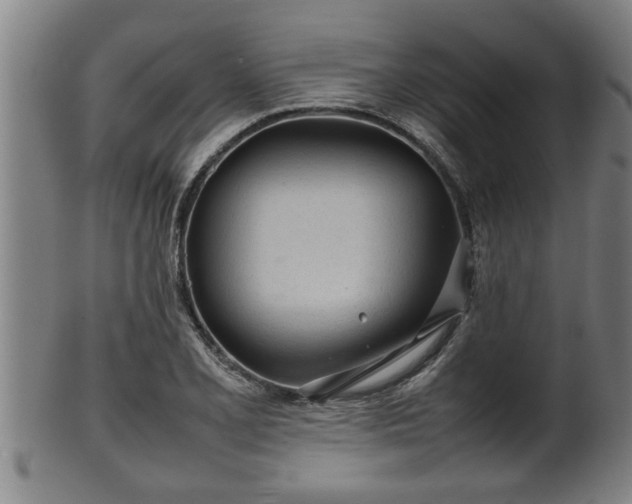 X0000100221077200806061339