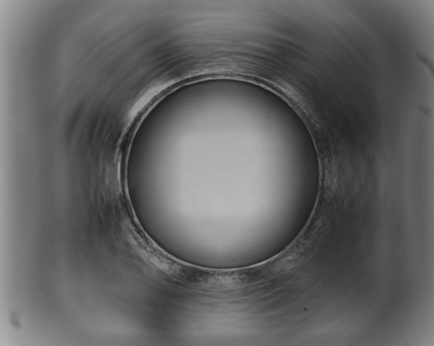 X0000100221078200806061339