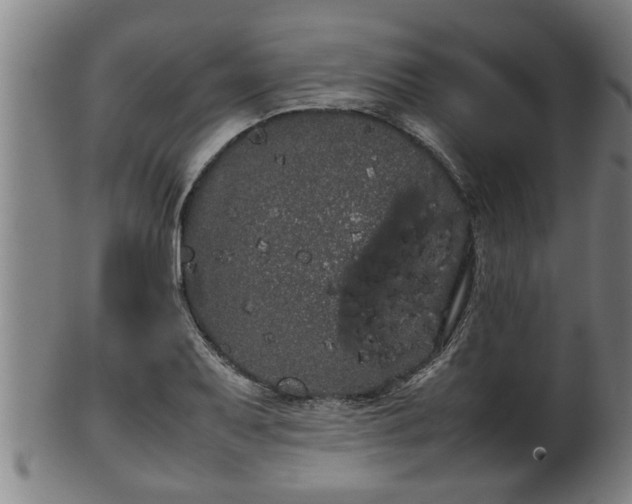 X0000100221079200806061339