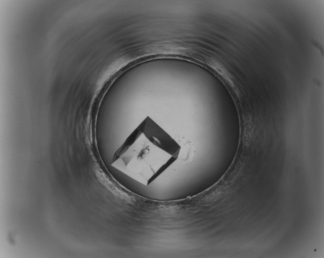 X0000100221080200806061339