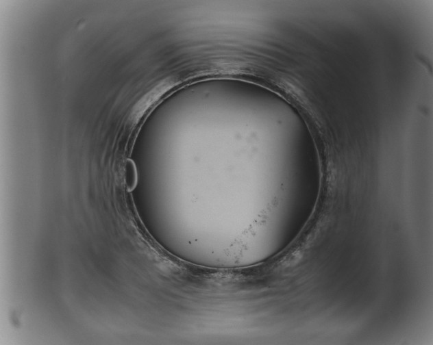 X0000100221081200806061339