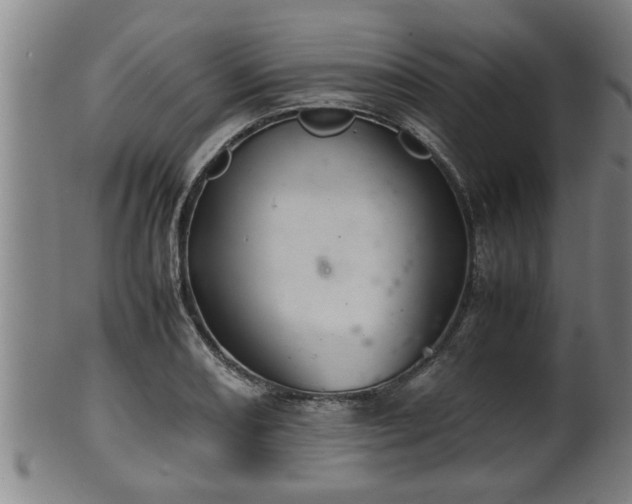 X0000100221082200806061339