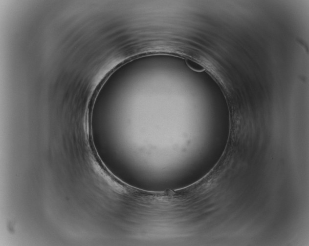 X0000100221084200806061339