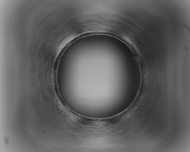 X0000100221085200806061339